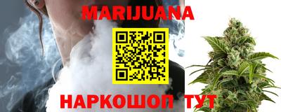 индика Нягань
