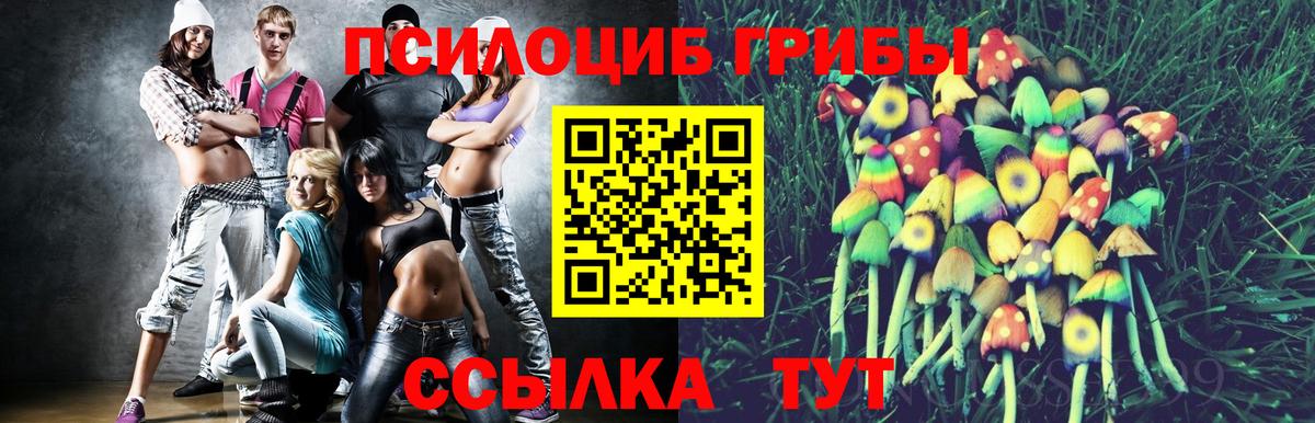 Урус-Мартан  Псилоцибиновые грибы прущие грибы  Вход с VPN  Галлюциногенные грибы Psilocybine cubensis 